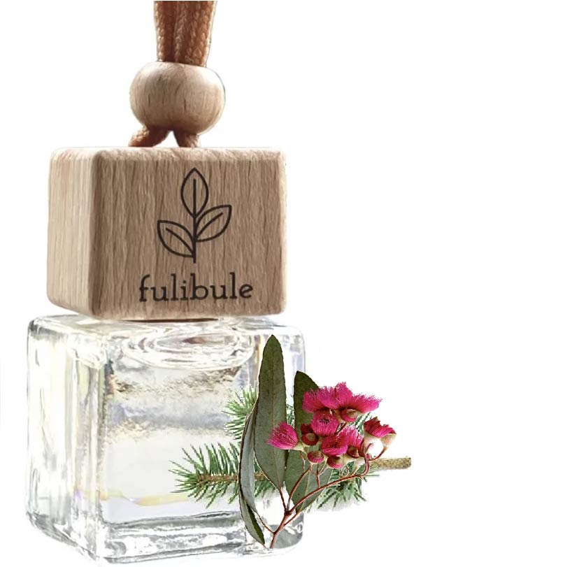 Diffuseur d'huiles | EUCALYPTUS & SAPIN